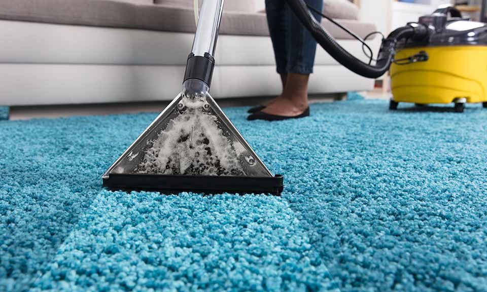 Carpet Cleaning in Carina 