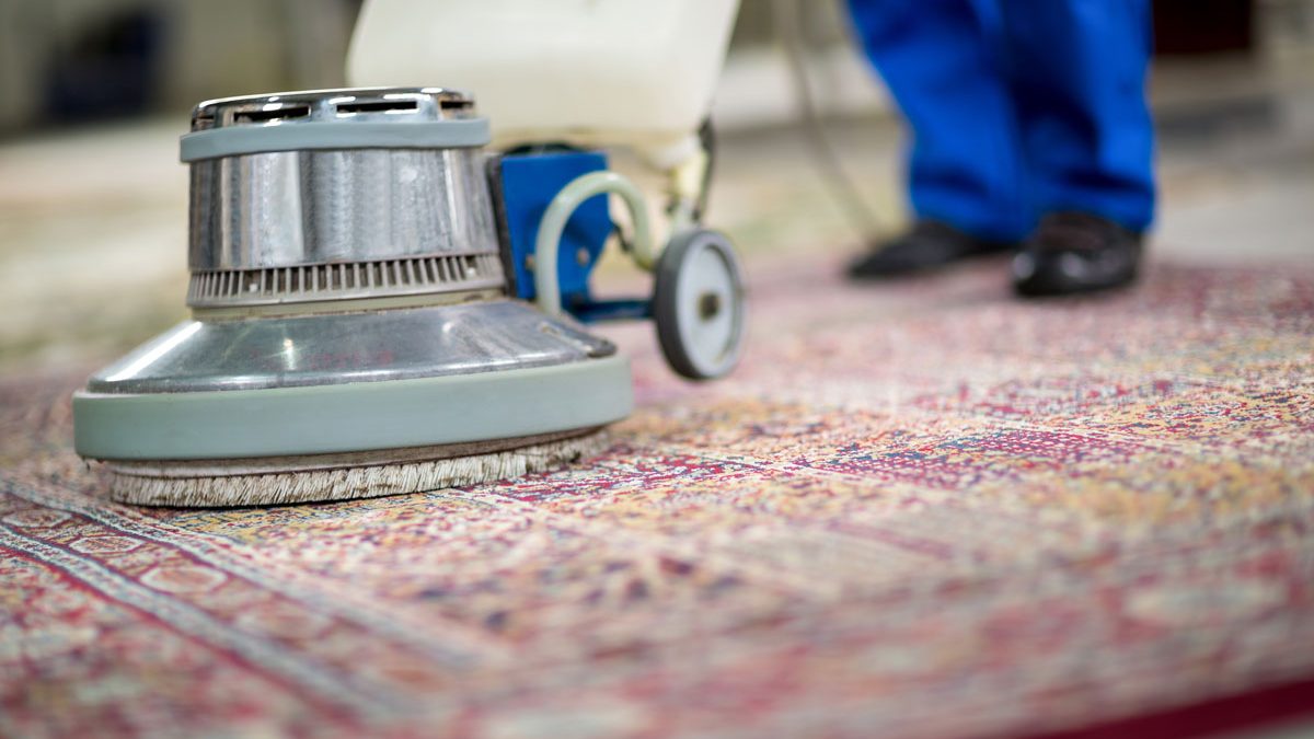 Carpet Cleaning Bulimba