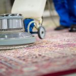 Carpet Cleaning Bulimba