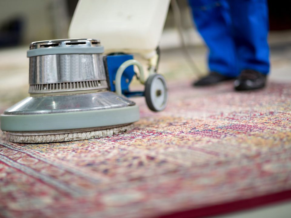 Carpet Cleaning Bulimba