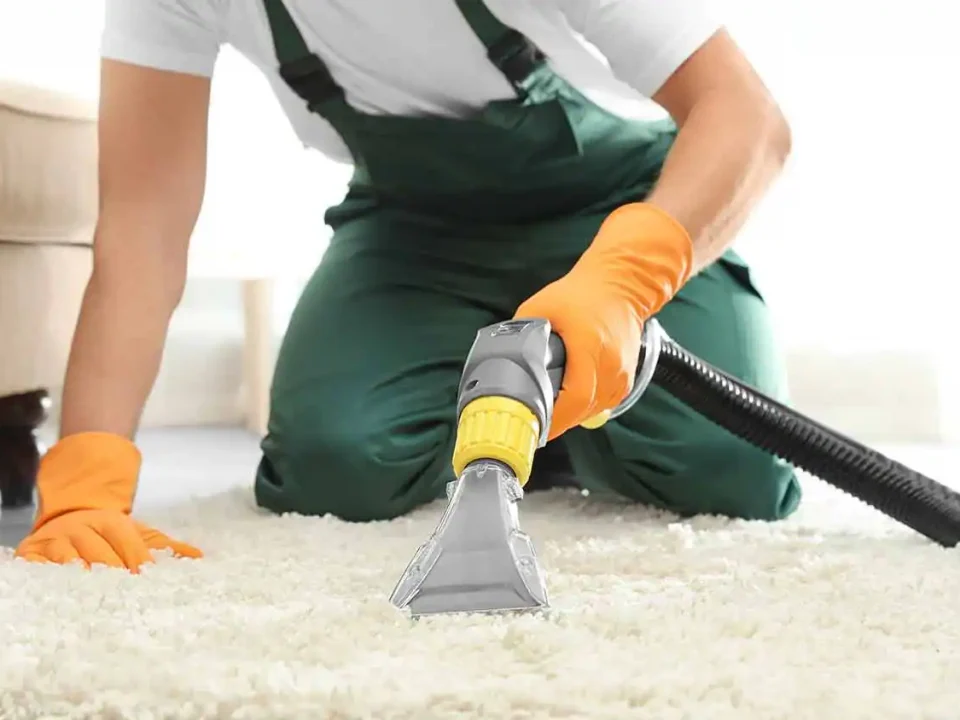 Carpet Cleaning Newstead