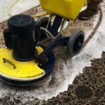 Carpet Cleaning West End