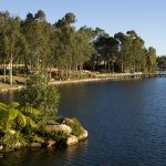 Carpet Cleaning Forest Lake